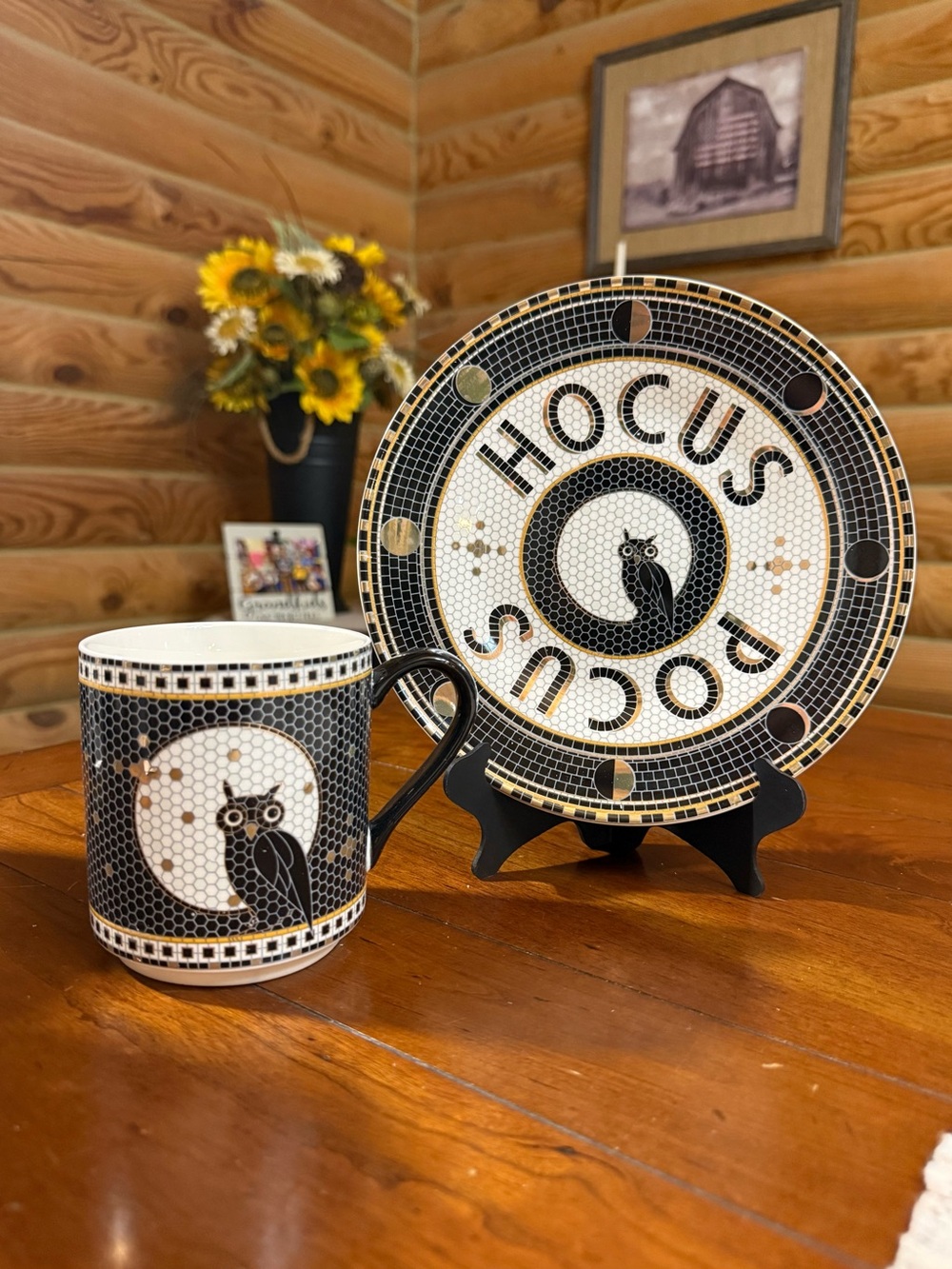 HOCUS POCUS Halloween Owl Mug and Plate Set Halloween Decor